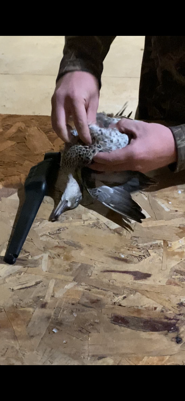 Start by Making an Incision Above the Breast  