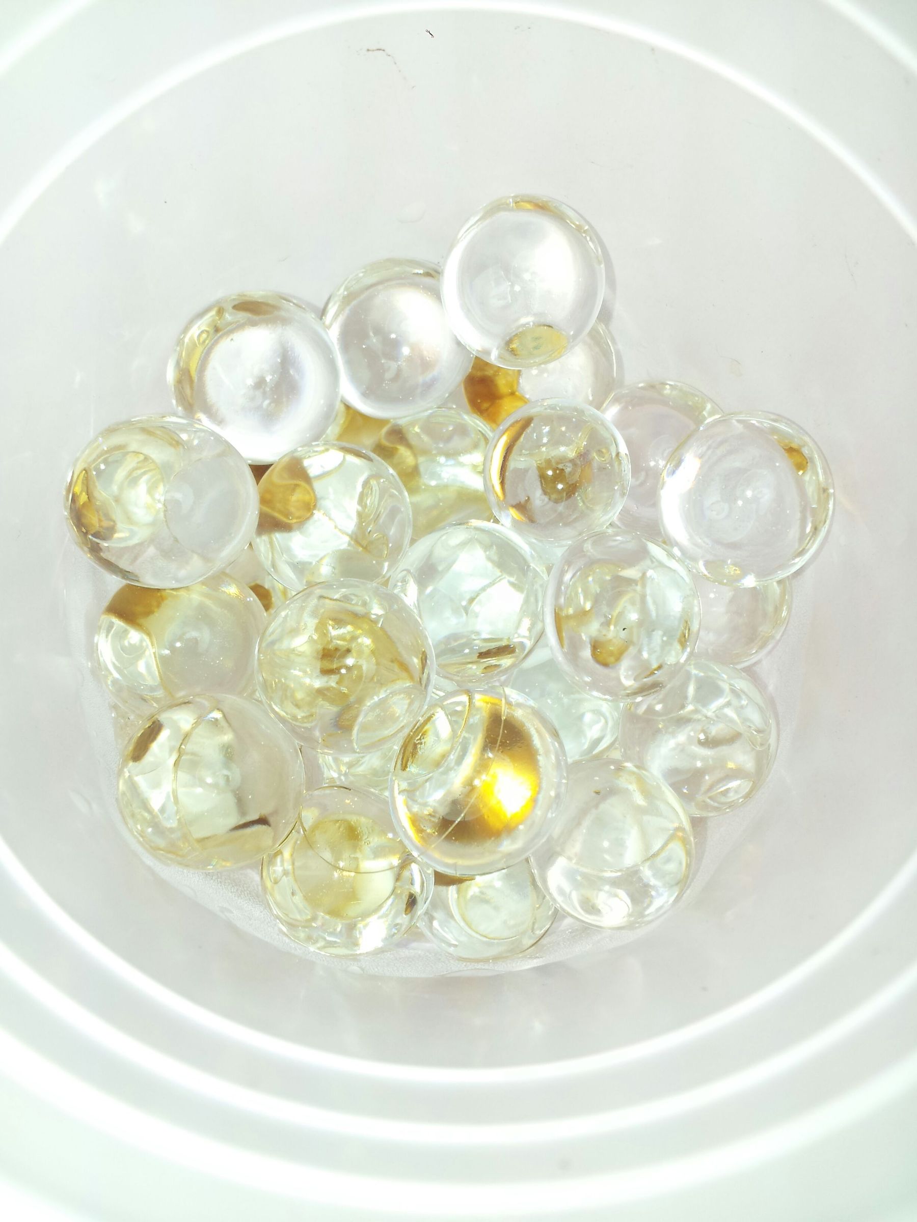 Soil-less Hard Shelled Seed Germination