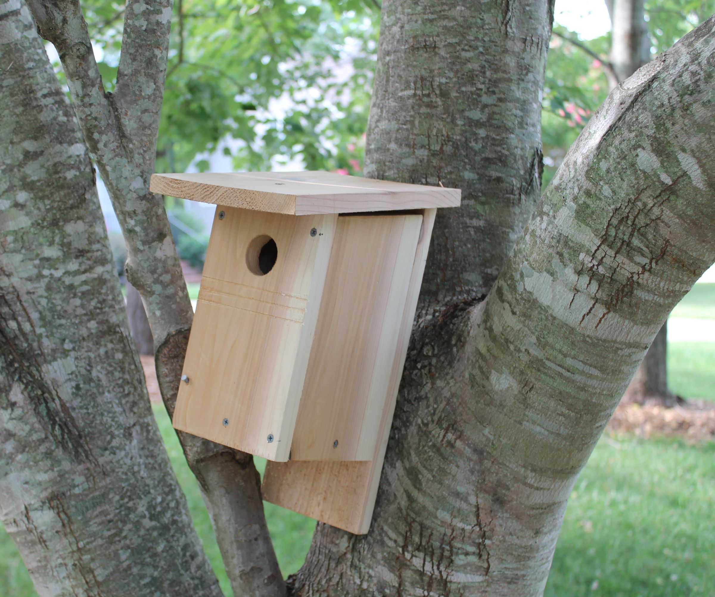 How to Build a NABS Birdhouse