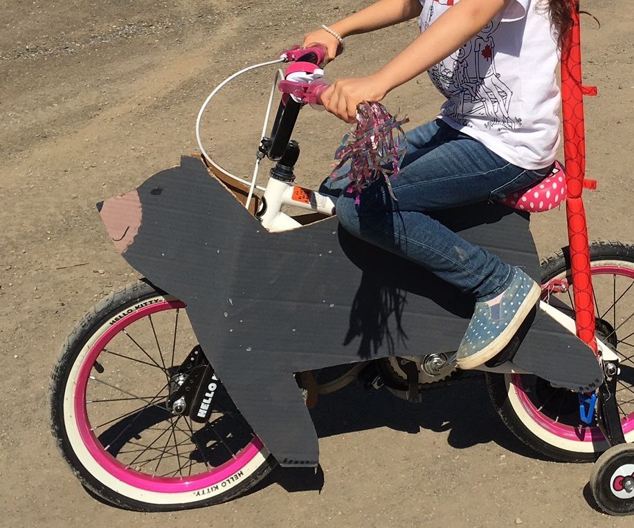 "Ride a Bear" Bike