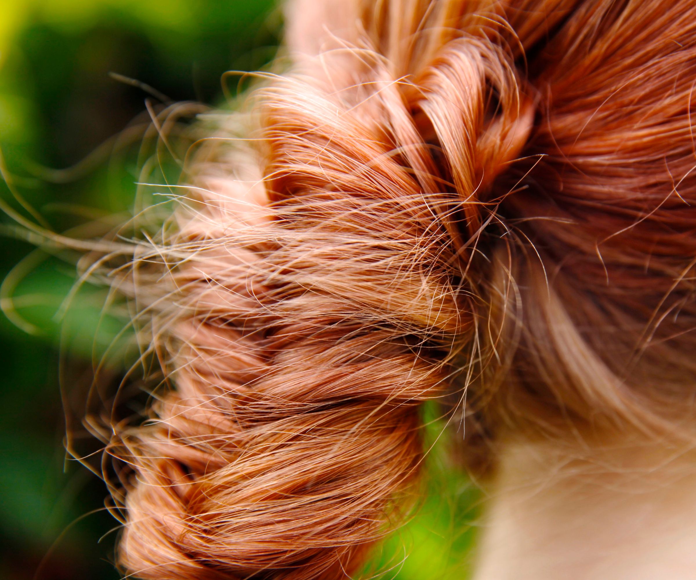 How to Do a Fishtail Braid Hairstyle
