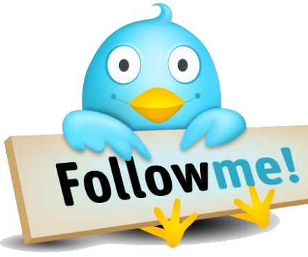 Whether to Buy Twitter Followers