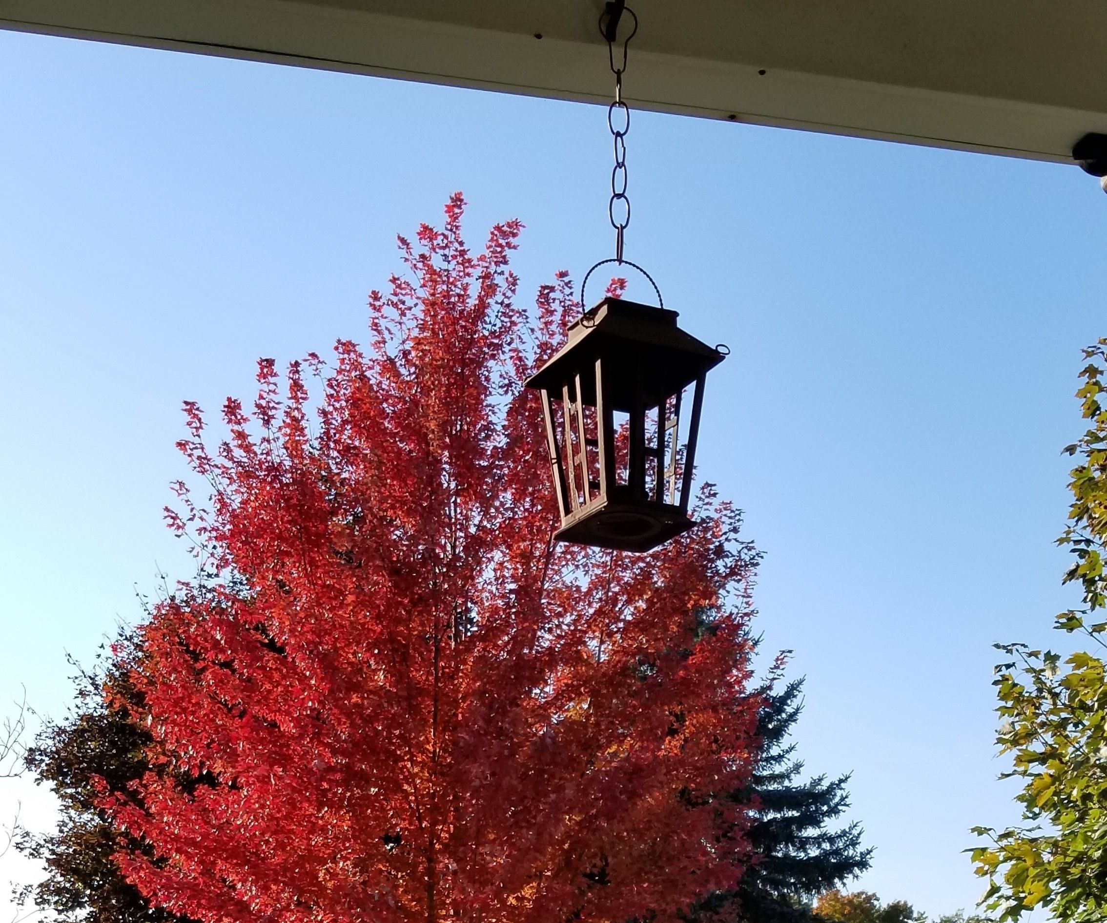 To Make It Move, Just Wait.