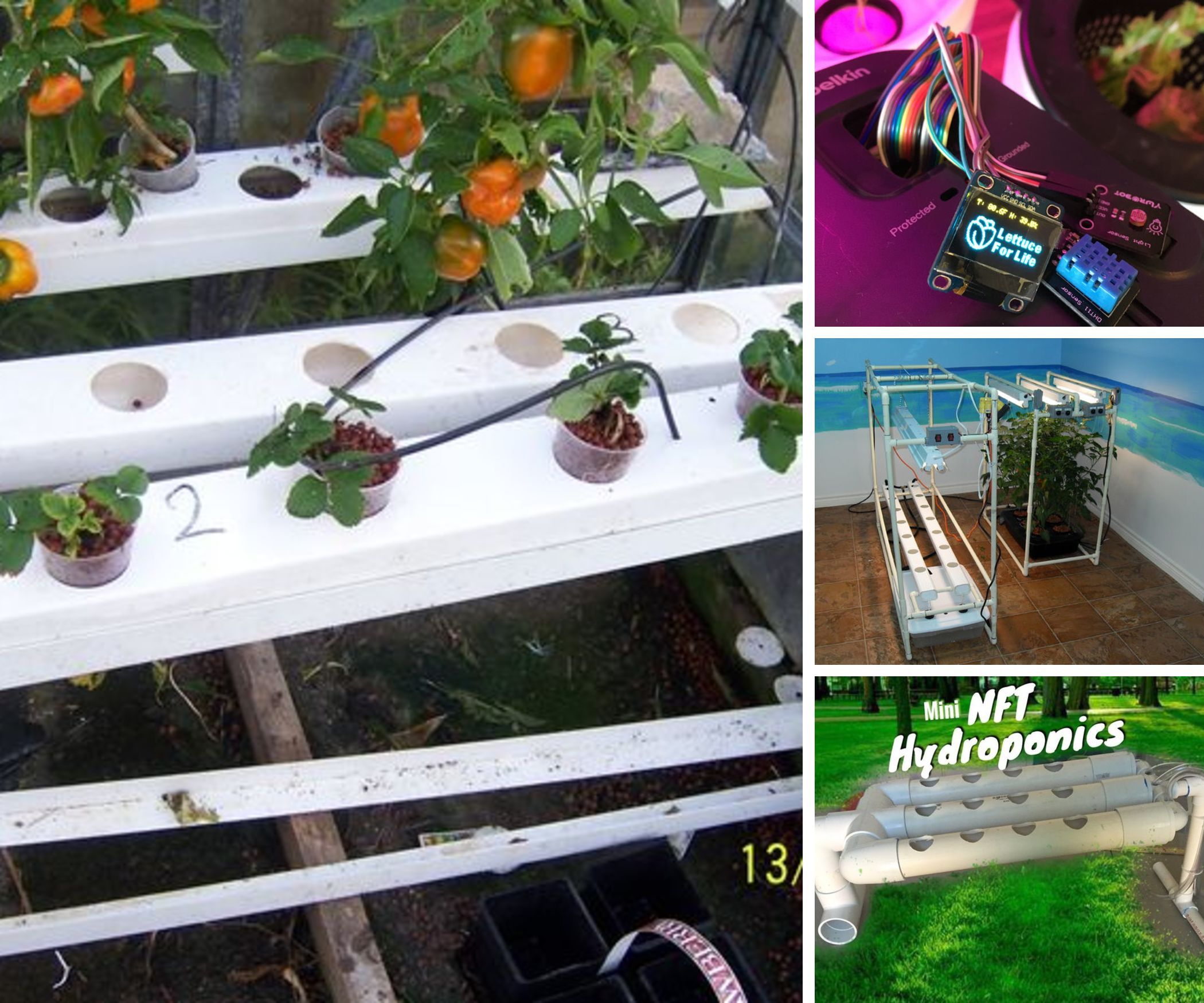Hydroponics