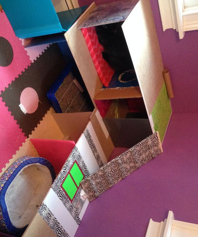 Bunny House made with old school binders and leftover wood!!