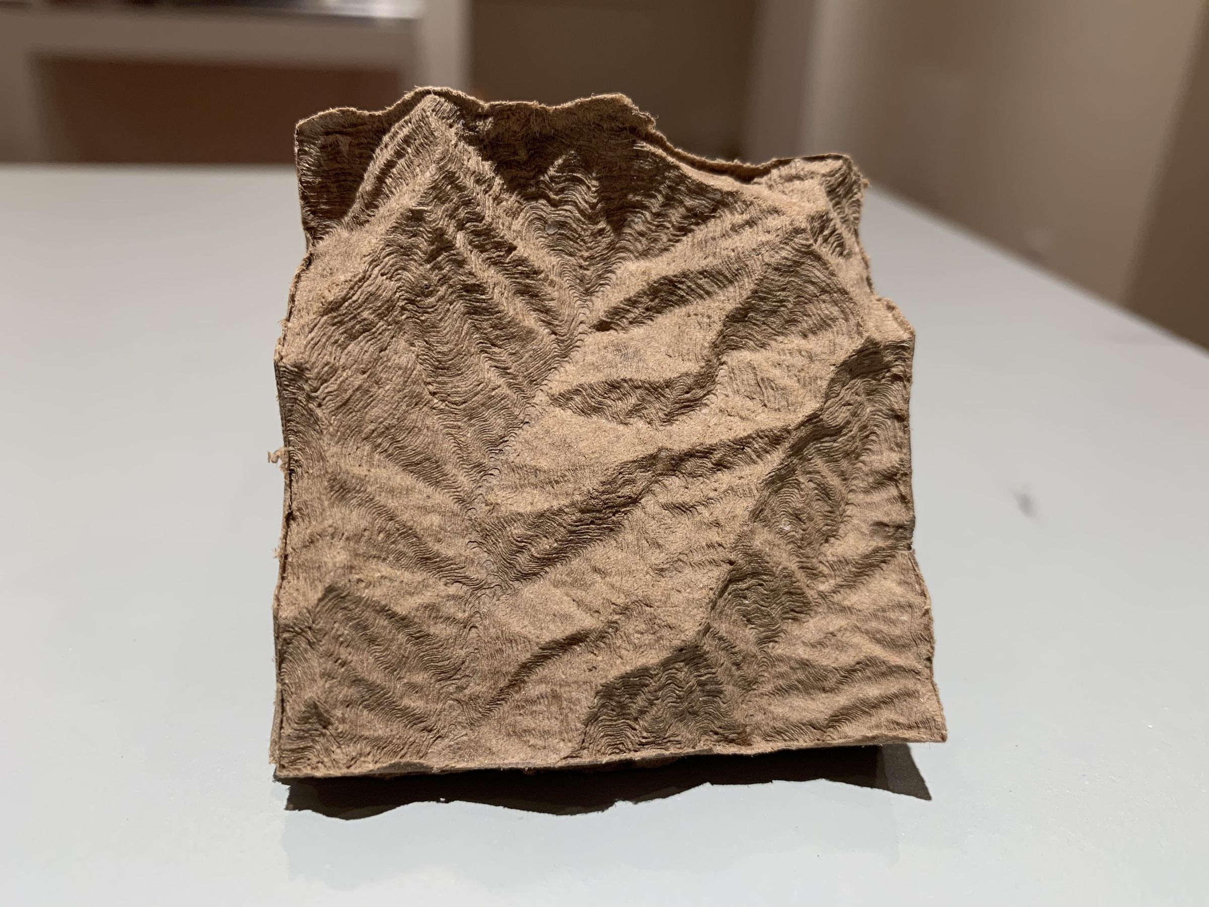 Recycle Cardboard Into Anything With 3D Printing! : 10 Steps (with ...