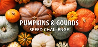 Pumpkins & Gourds Speed Challenge