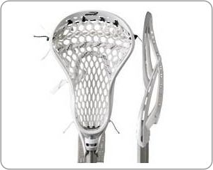 laxdude31