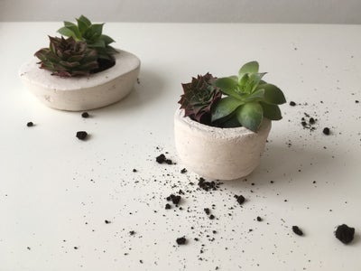 How to Make Concrete Planters