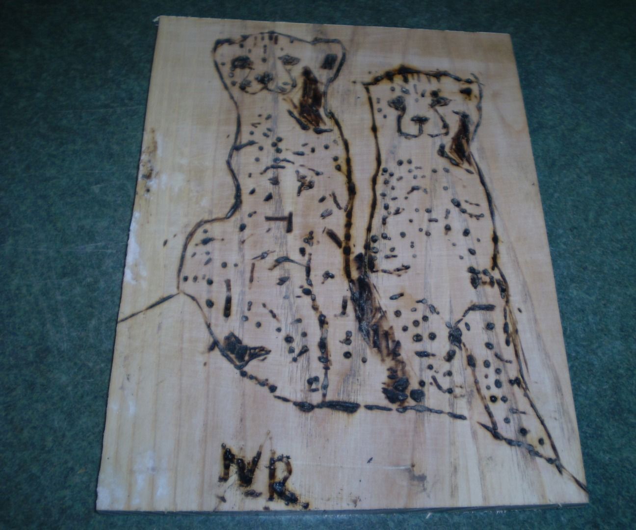 Wood Burning for Ages 10 and Up