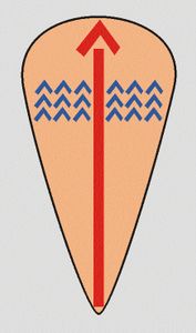 Filling in the Blanks.