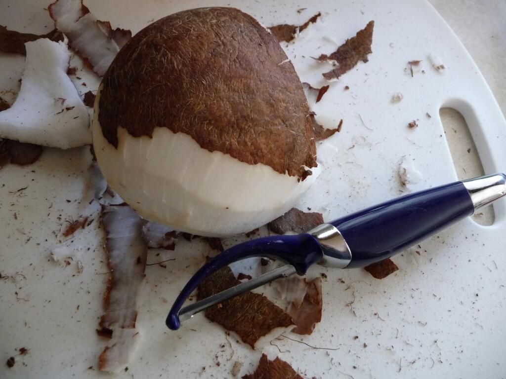 Homemade Coconut Rum : 6 Steps (with Pictures) - Instructables