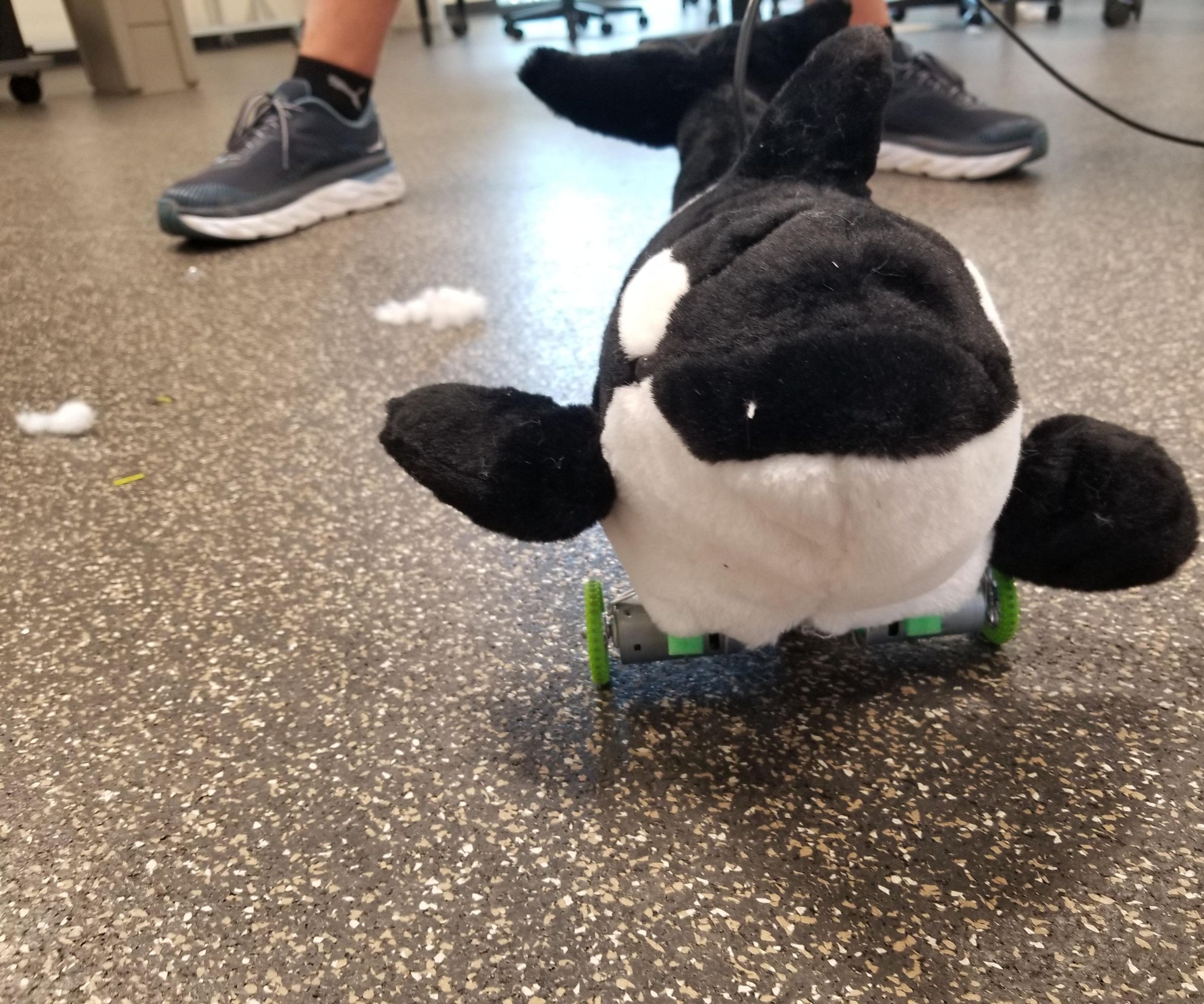 Animatronic Orca