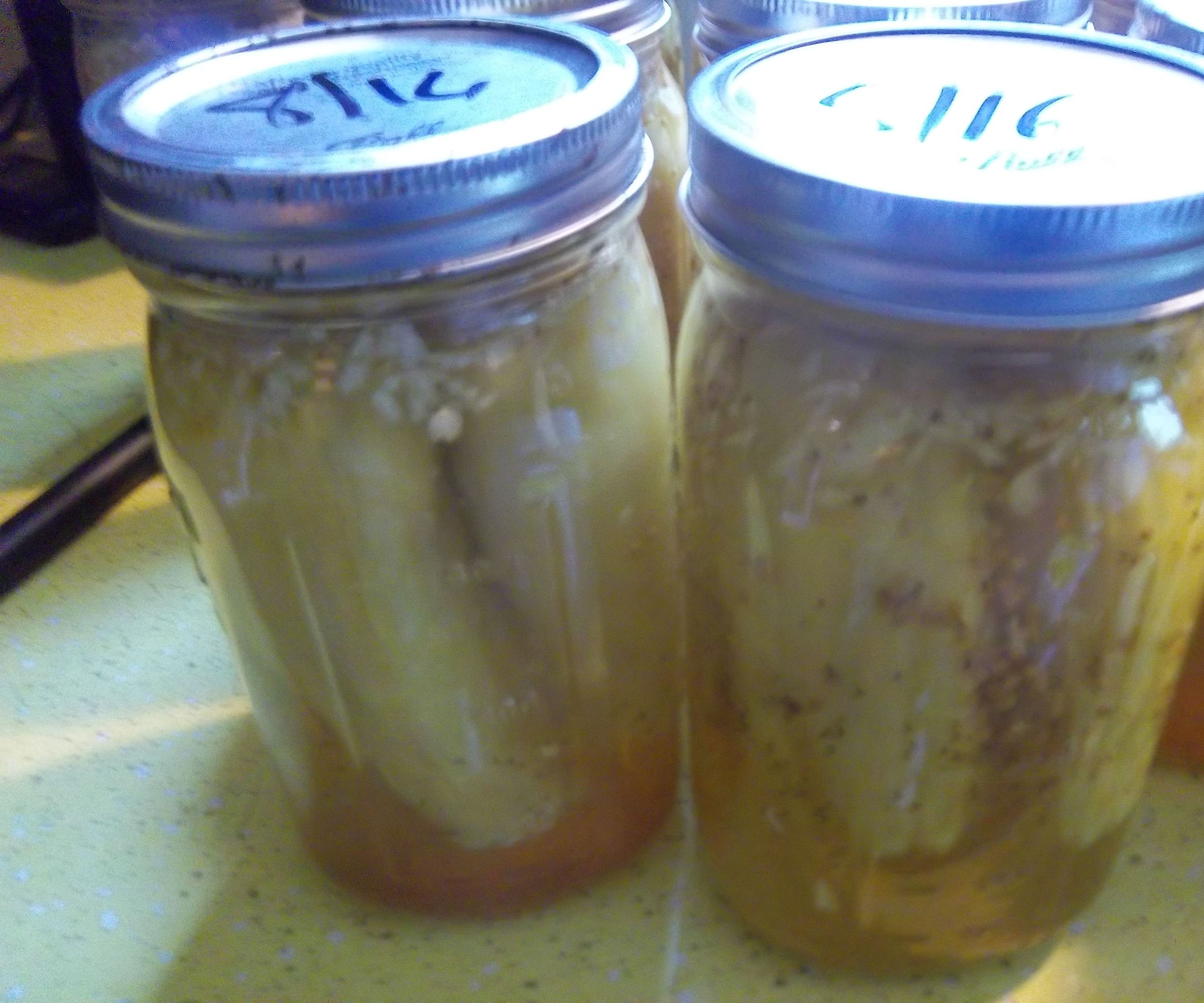 Cabbage Stuffed Hungarian Wax Peppers in Bread and Butter Pickle Brine