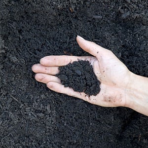 Dark Moist Dirt Into Soil