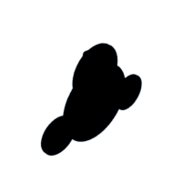 download {{ file.name }}
