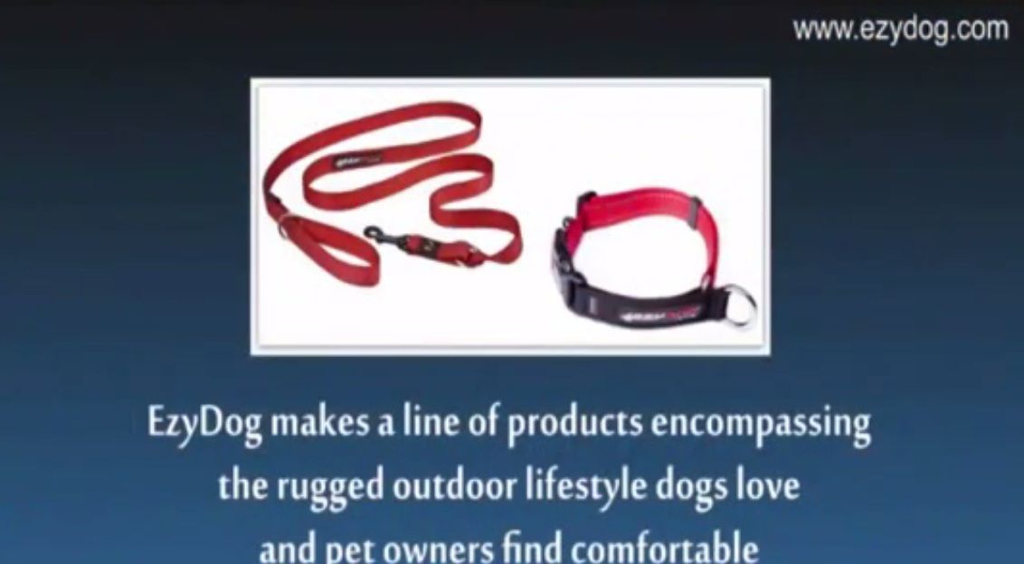 From Dog Collars and Leashes to Backpacks, Outdoor Adventures Are Fun With EzyDog.