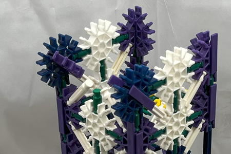 Complete the Top Section