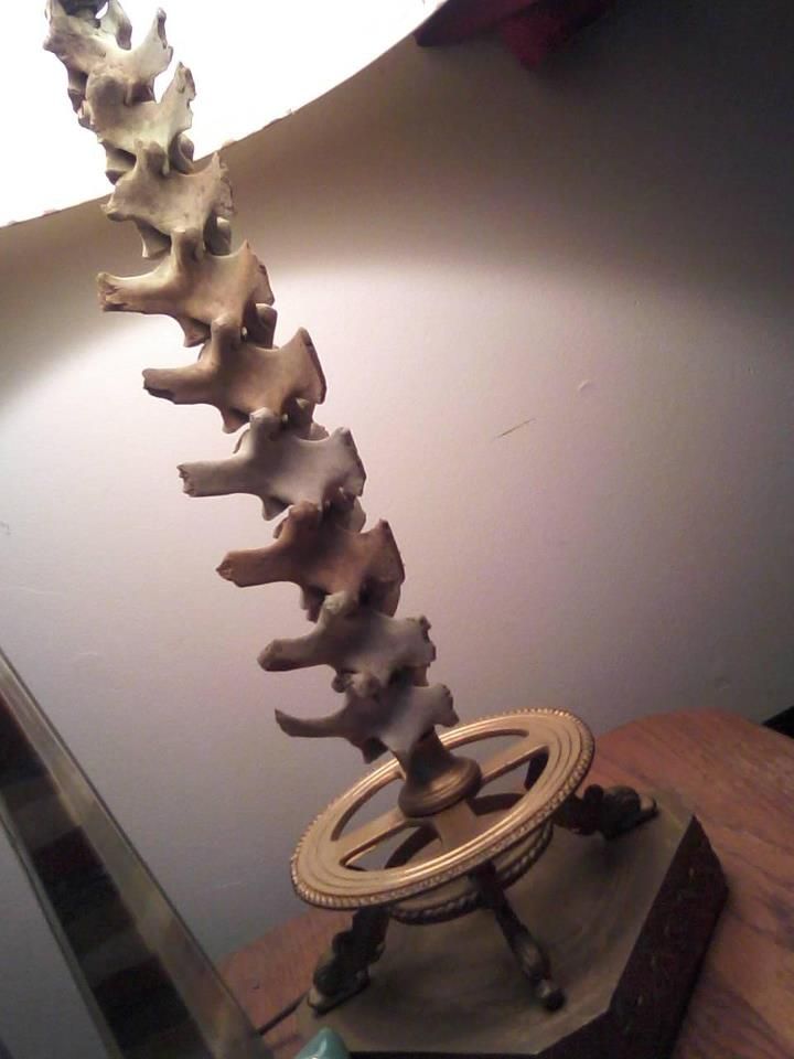 Deer Bone Lamp