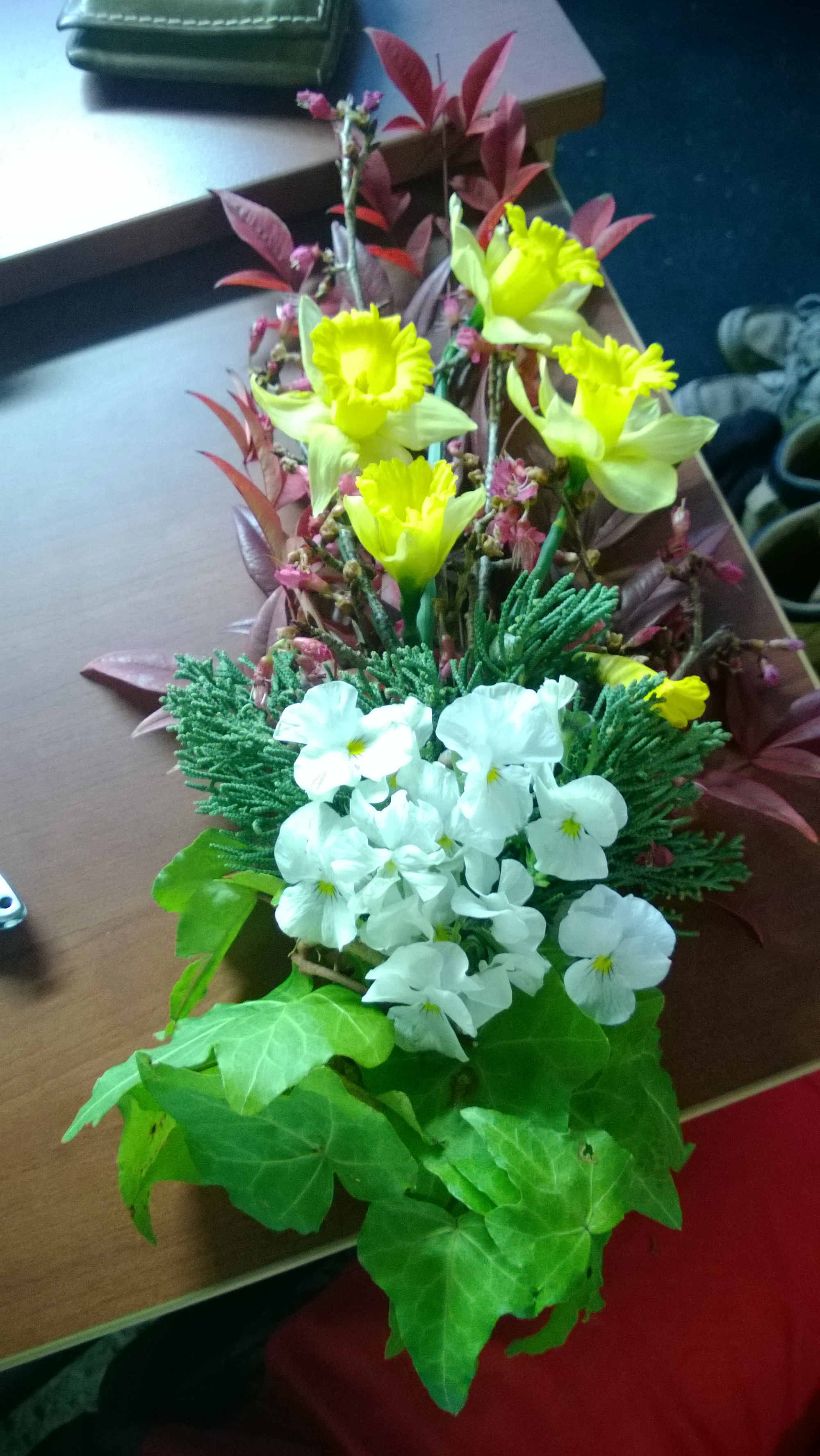 Winter's Flowery Bouquet to Usher in Spring