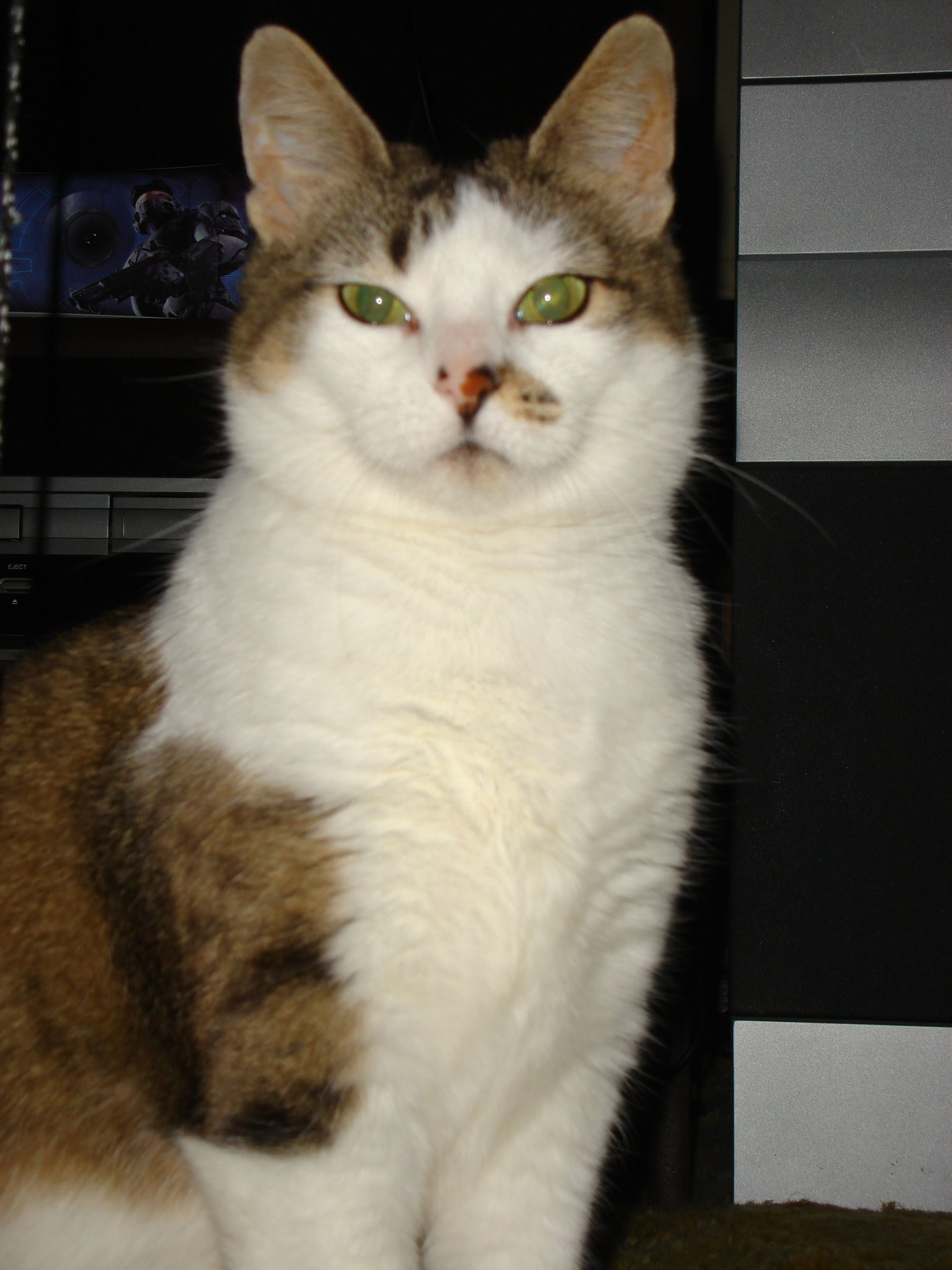 author