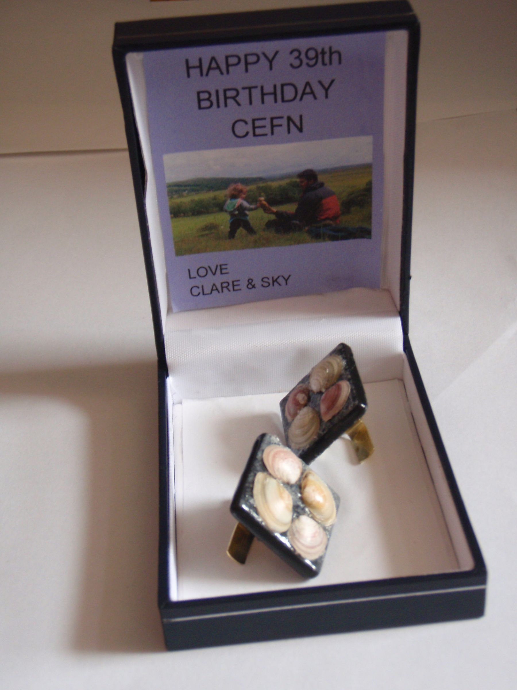 Picture Hook and Shell Cufflinks