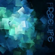 freelife571