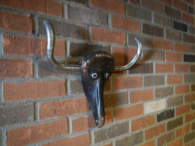 Bicycle Seat to Bull