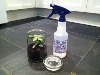 Spray Plant & Soil