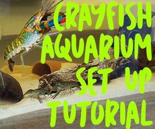 Crayfish Aquarium Set Up