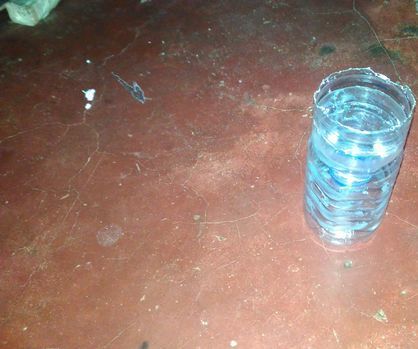 COCKROACH TRAP