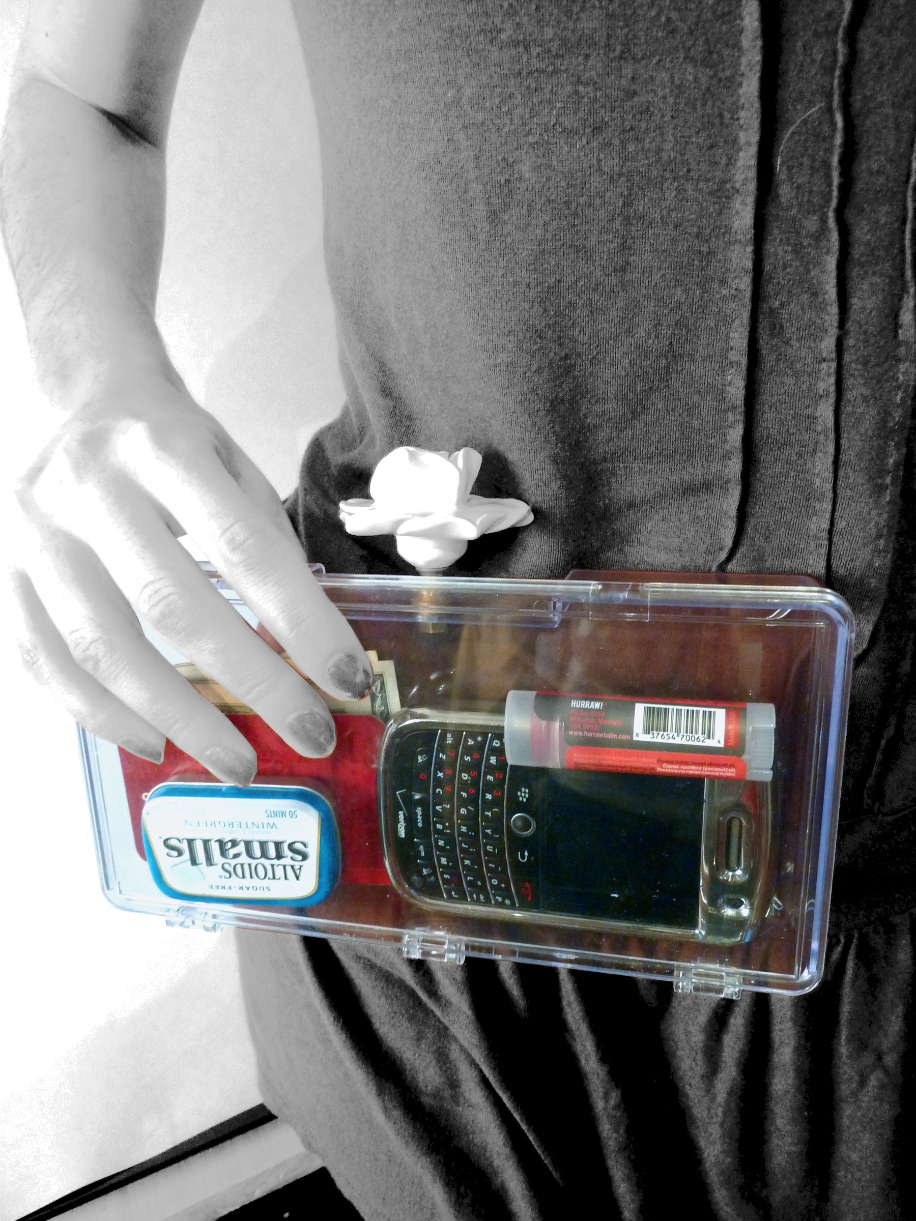 Transparent Clutch