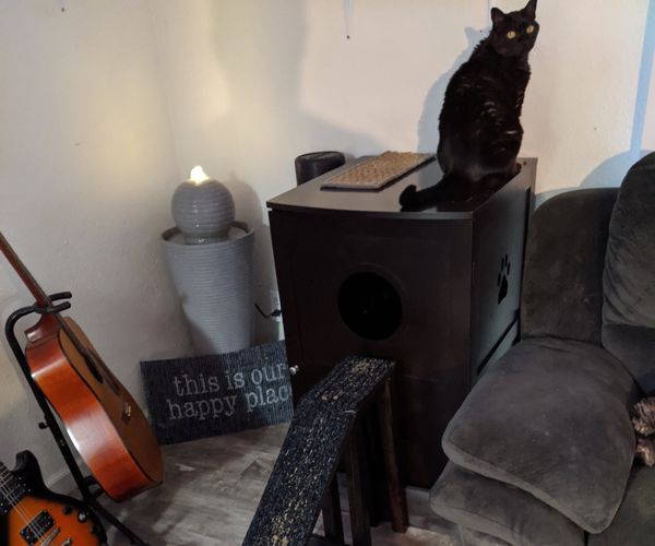 How to Make a Cat Ramp