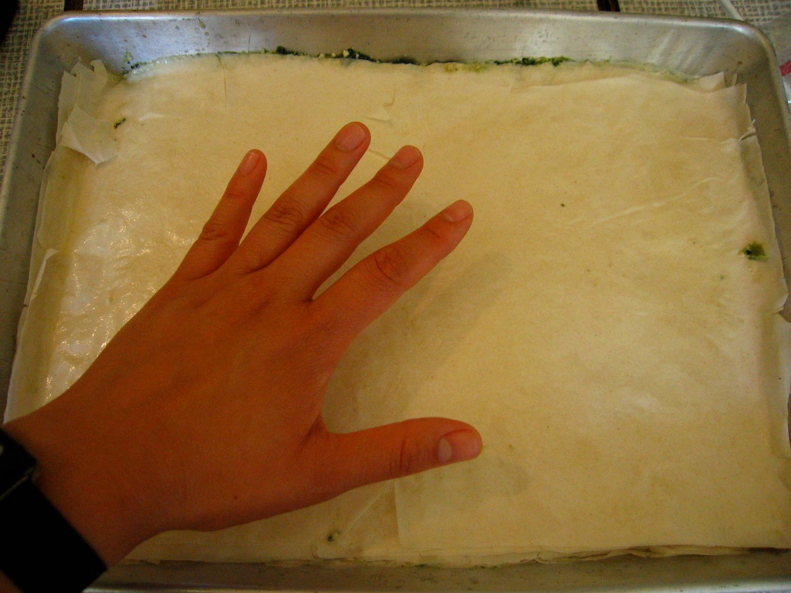 Vegan Spinach Pie, or How to Turn Your Urine Into an Ideal Hydroponic Solution for Plants! 4