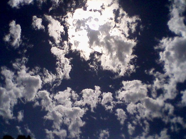 Digital Government (world Edition)