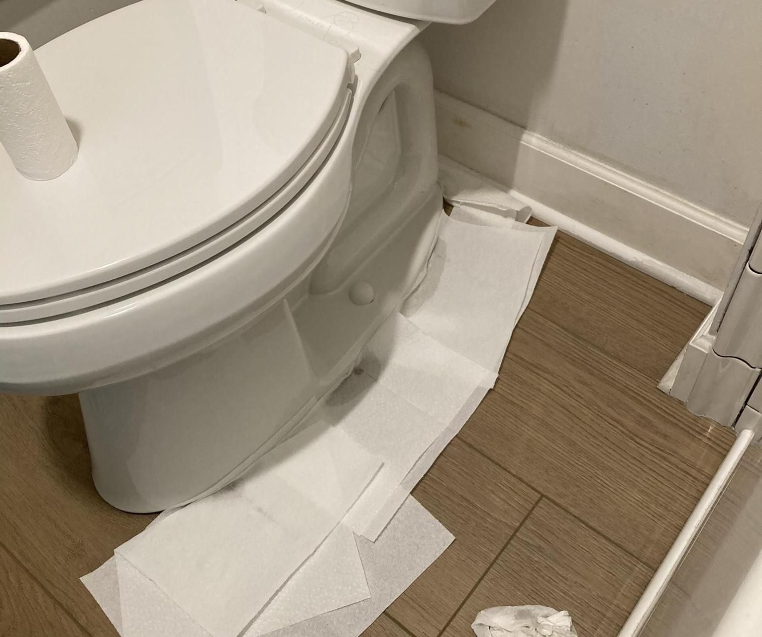 How to Replace a Toilet Wax Ring