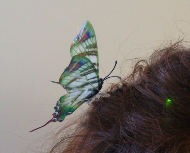 Wedding Butterfly