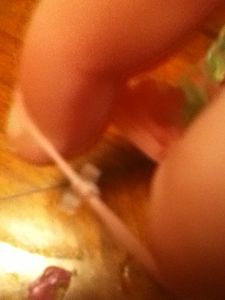Clip 