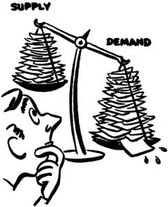 Checking Your Competition/Supply and Demand