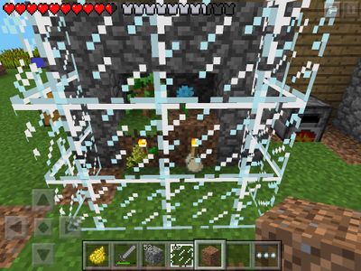 Display Case in Minecraft