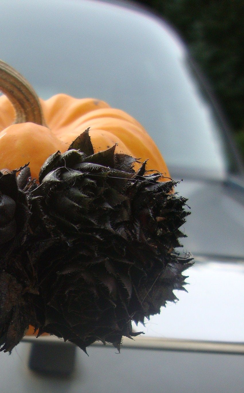 Simple Elegant Halloween Decoration