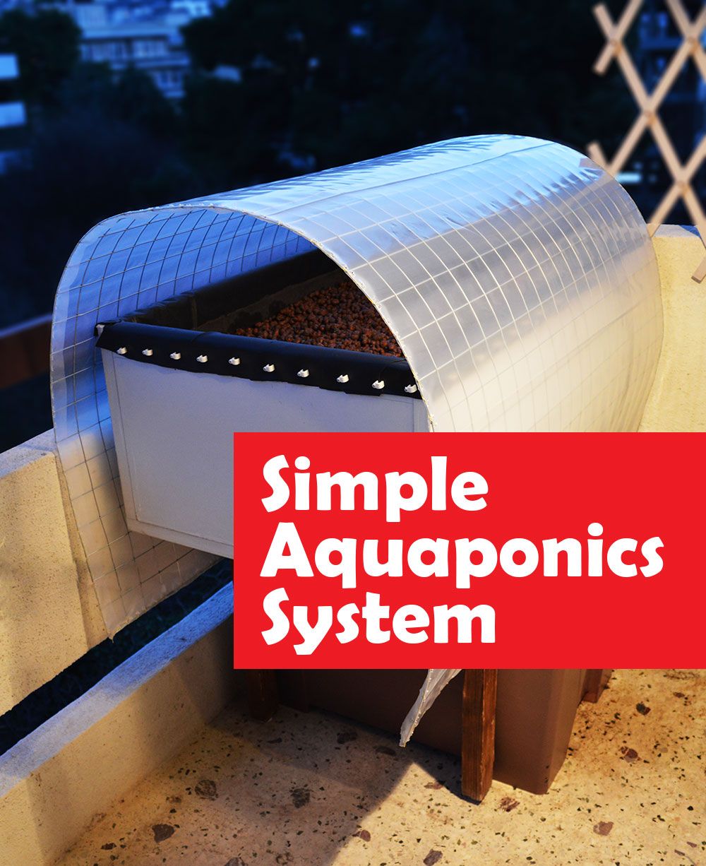 Simple Aquaponics System Flood and Drain