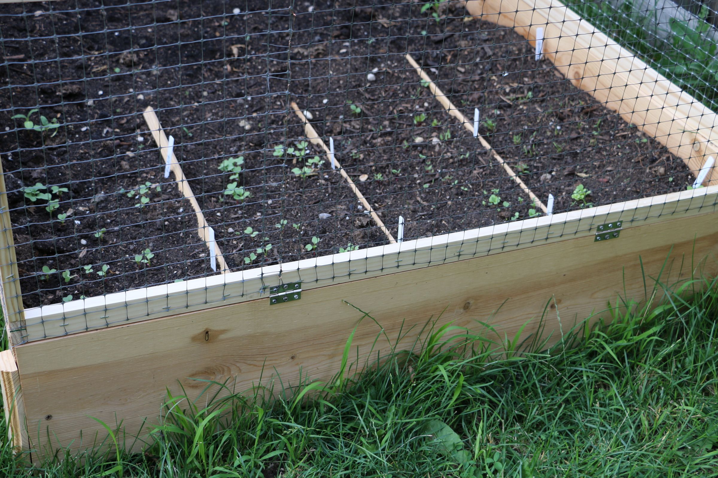 How to Make a Raised Garden Bed Cover With Hinges 5 Steps (with