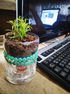plant rack for window Prairie Sand Window Shelf  Renter-Friendly Windowsill Plant Shelf
