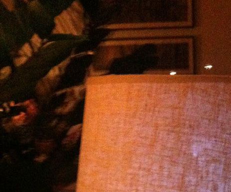 Creative Letter Lamp for Cheap!