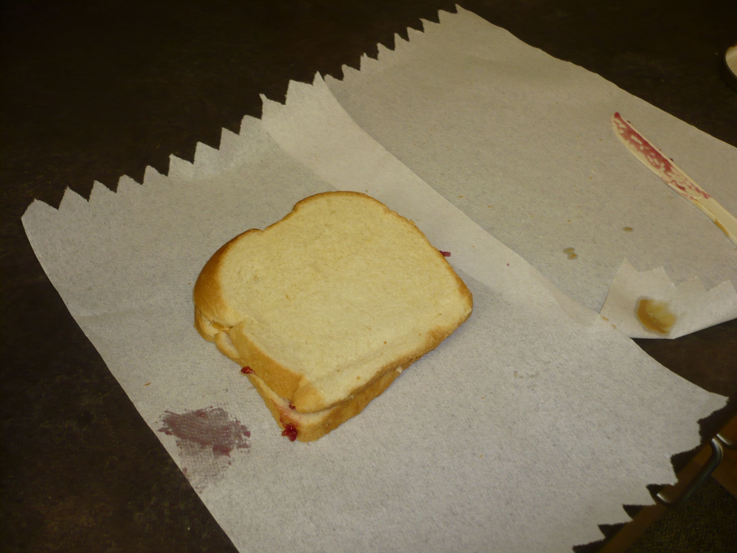 Peanut Butter and Jelly Sandwich