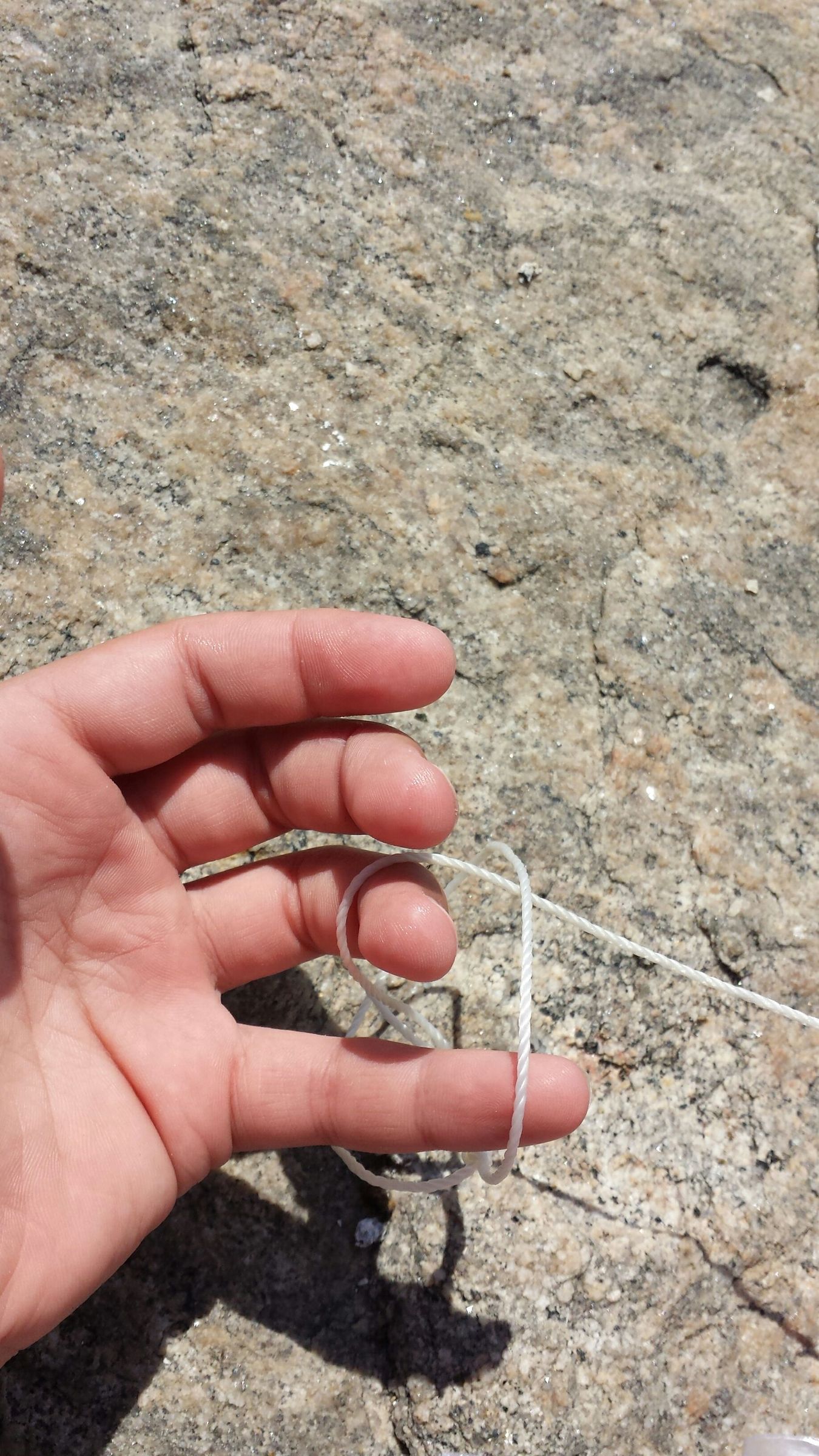 How to Catch Crabs 4 Steps Instructables