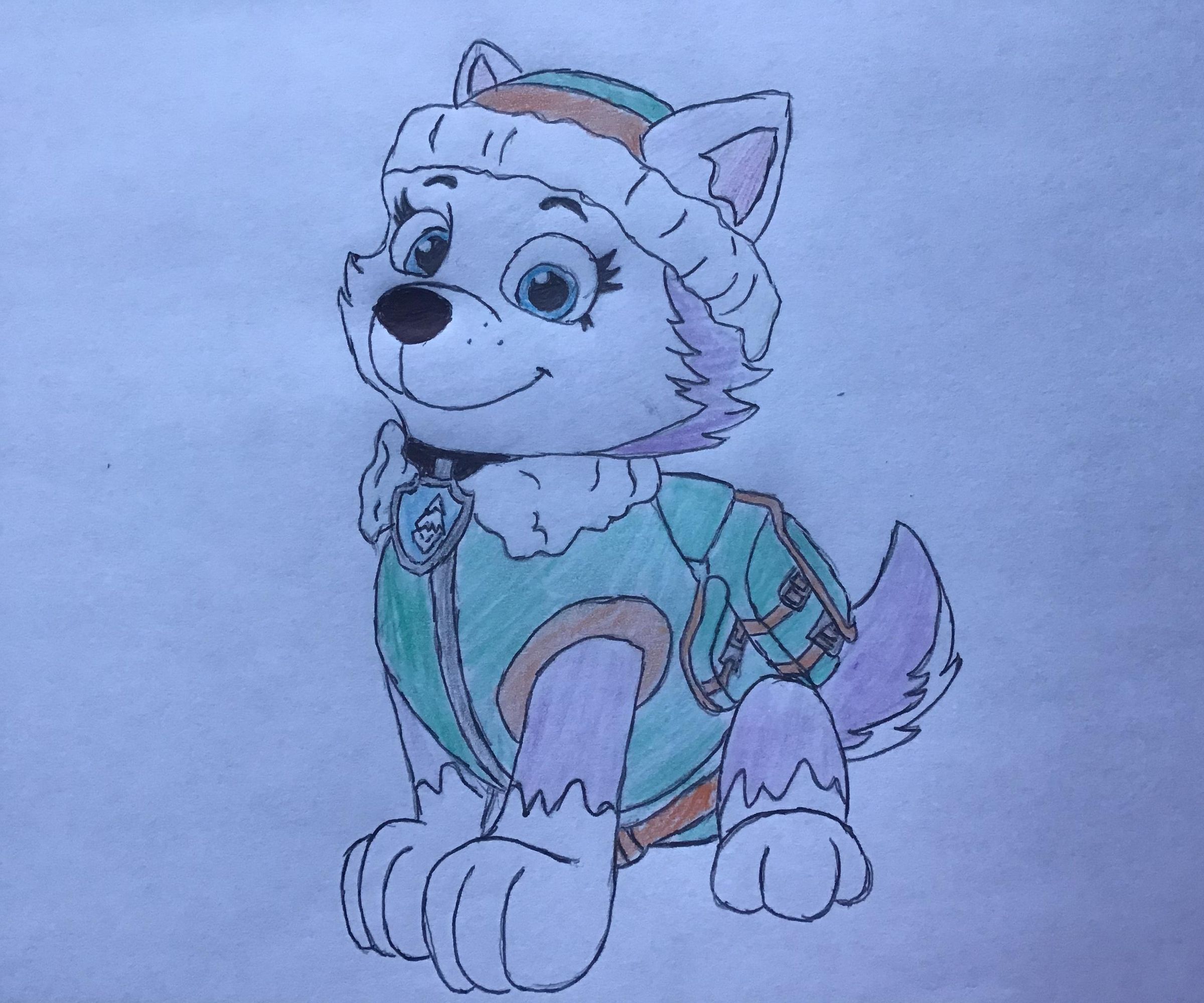 How to Draw and Color Everest From PAW Patrol