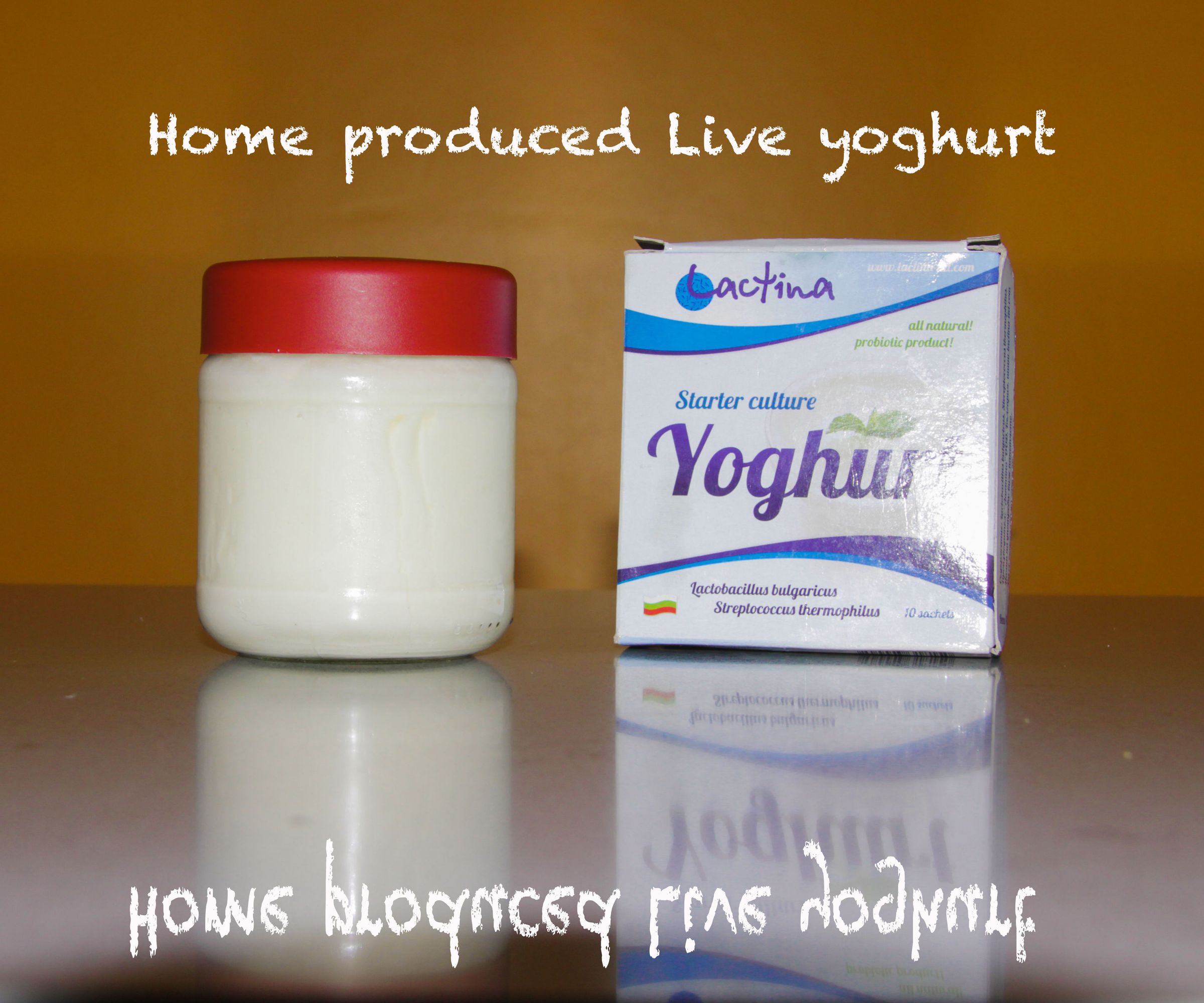 How to Produce Inexpensive Natural Yogurt/Yoghurt
