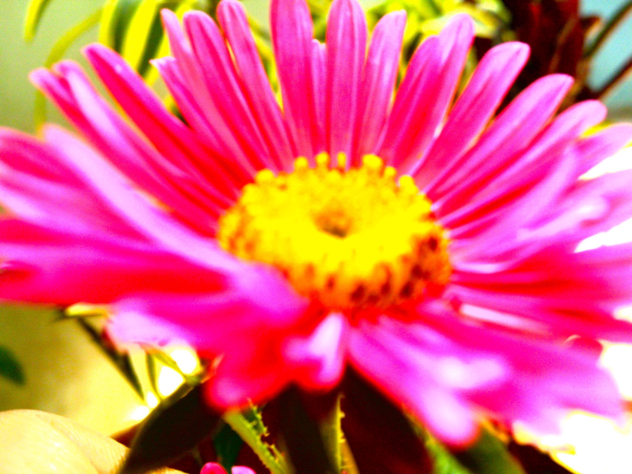Take Beautiful Photos on Smartphones and Digital Cameras !